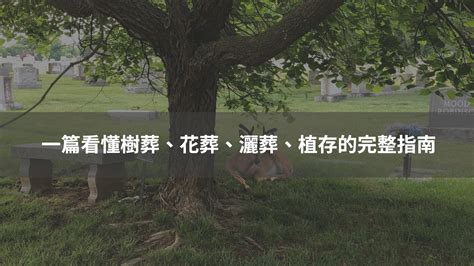 樹葬缺點 2023十二生肖幸運色